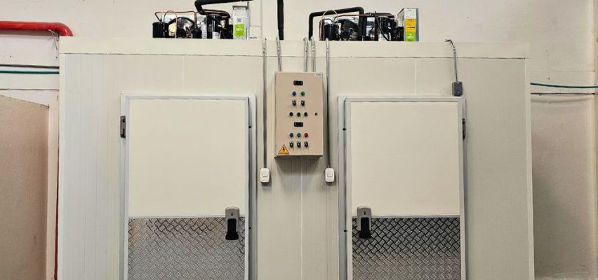 Paneles termoaislantes eficientes para refrigeración industrial